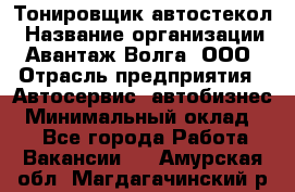 Тонировщик автостекол › Название организации ­ Авантаж-Волга, ООО › Отрасль предприятия ­ Автосервис, автобизнес › Минимальный оклад ­ 1 - Все города Работа » Вакансии   . Амурская обл.,Магдагачинский р-н